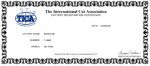 tica cert